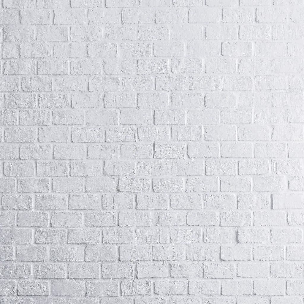 Pared ladrillos Blancos
