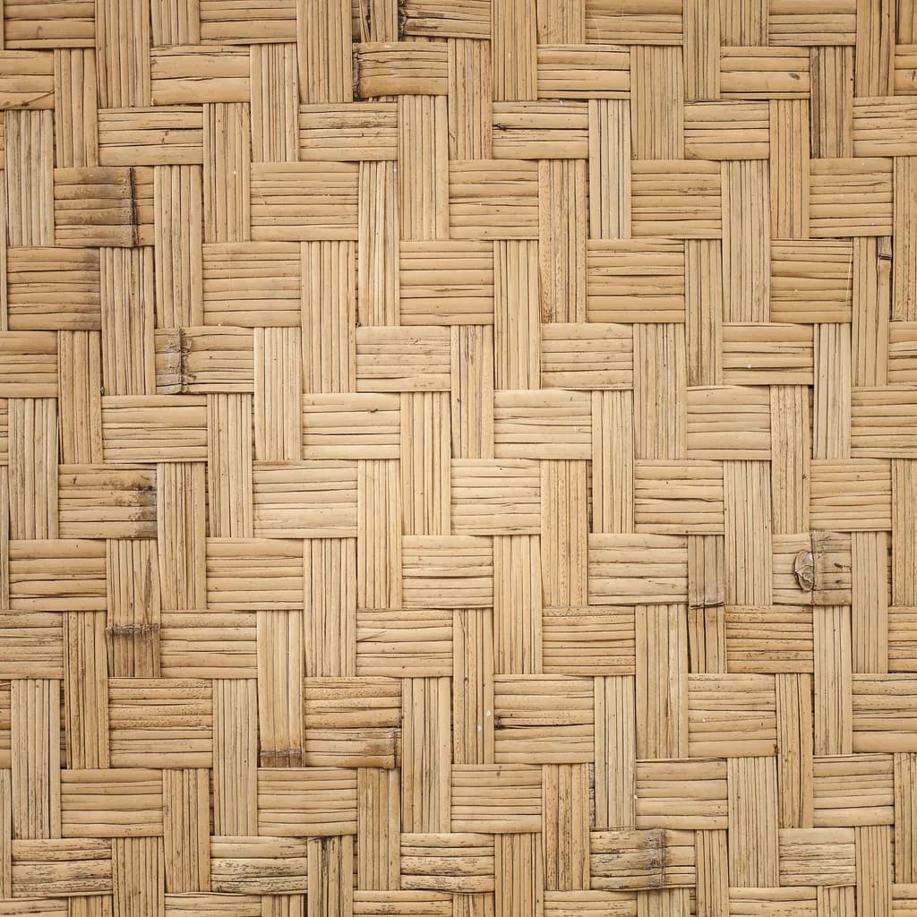 Bamboo textura