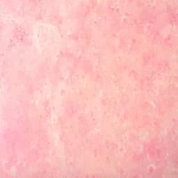 Hormigon rose