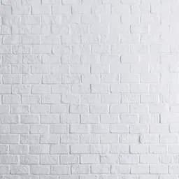 Pared ladrillos Blancos