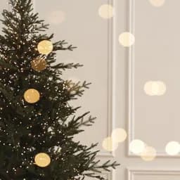NAVIDAD 2026