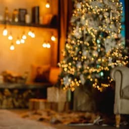 NAVIDAD 2026