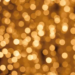 NAVIDAD 2026