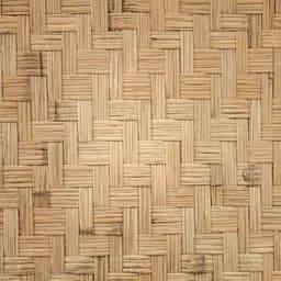 Bamboo textura